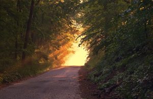 Meditación de la luz